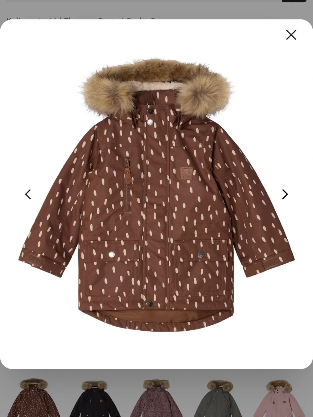 Kuling Brown Coat with White Dot Accents